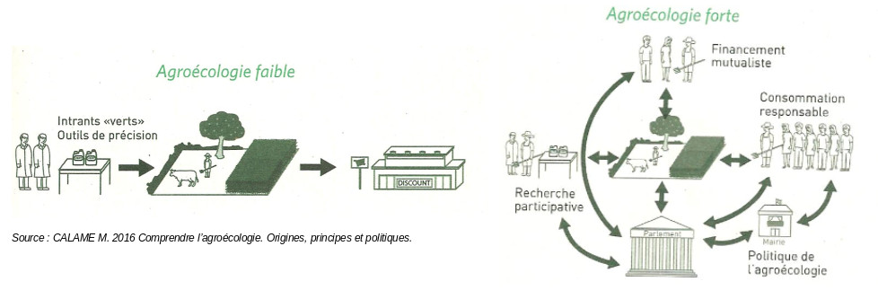 Schéma agroécologie forte (Calame 2015)